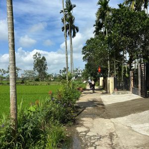 Alternative view of Hoi An Bike Tour to Kim Bong Carpentry Village