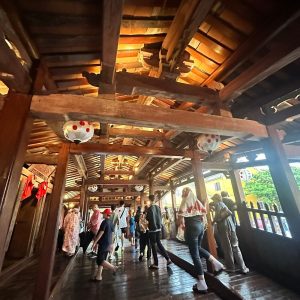 Alternative view of Hoi An Walking Tour of the Ancient Town